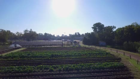 AERIAL:-Flyover-of-a-local-farm-in-Austin,-Texas