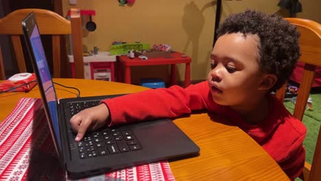 Cute-and-exotic-2-Year-Old-black-baby-shows-off-computer-skills