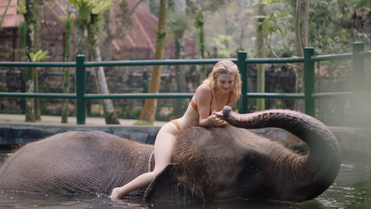 아름다운 여성이 동물원에서 코끼리를 타고 수영장에서 놀고 물을  ⁇ 아내며 열대 우림 보호구역에서 이국적인 휴가를 즐기는 여성 관광객
