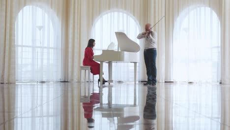 classical musician orchestra music playing