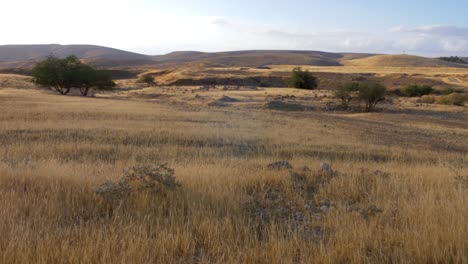 jordan valley landscape, summer, israel