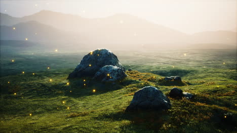 grandes piedras en el campo de hierba