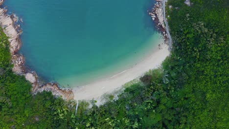 drone shot rotating above a little tropical bay with a beach and a hill full of tropical vegetation during the day