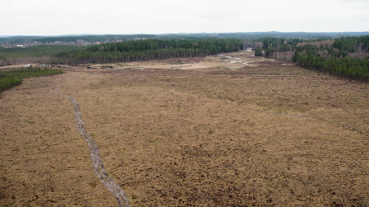широкий торф, окруженный лесом, скандинавский поток углерода, воздушная коляска
