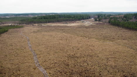 Weites-Moorgebiet-Umgeben-Von-Wald,-Nordische-Kohlenstoffsenke,-Luftbildkamera