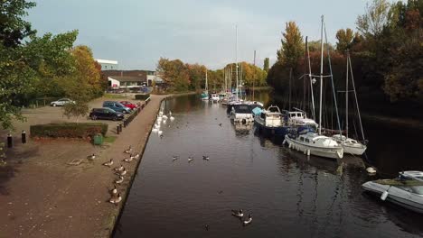 aerial moving backwards alongside canal with swans - sail boats