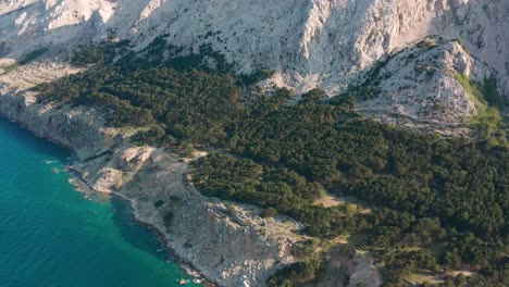 lush green forest on rocky mountains in the island of krk in croatia