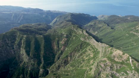 drone flight over narrow lush green madeira mountain ridge in sunlight