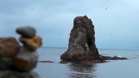 coastal rock formation with birds