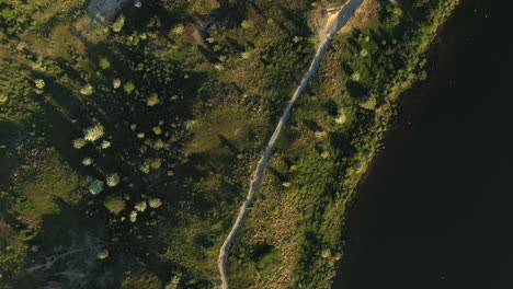 aerial tilt down of dutch national park kennemerland