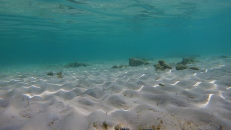 white sand in shallow blue sea waters