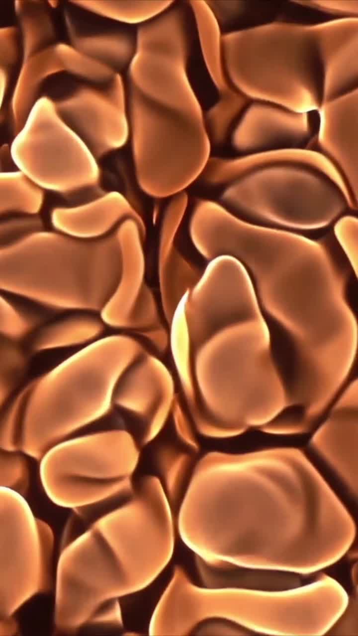 Formas orgánicas abstractas con un cálido resplandor moviéndose fluidamente.