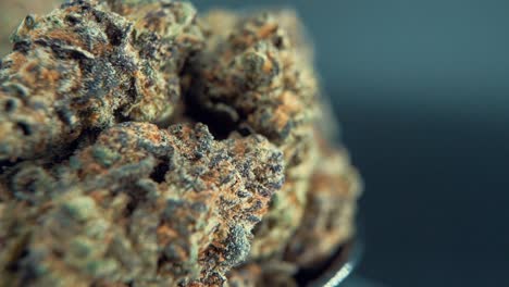 a macro cinematic detailed shot of a cannabis plant, orange hybrid strains, indica and sativa , purple marijuana flower, on a 360 rotating stand, super slow motion, 120 fps, full hd, studio lighting