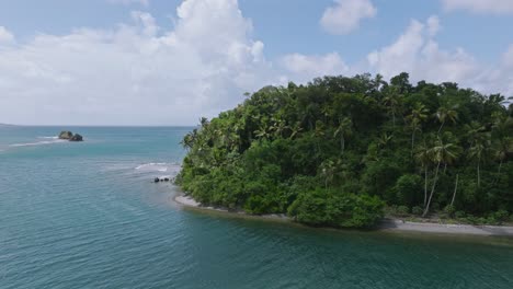 isla de bosque tropical denso en la bahía de samaná, república dominicana