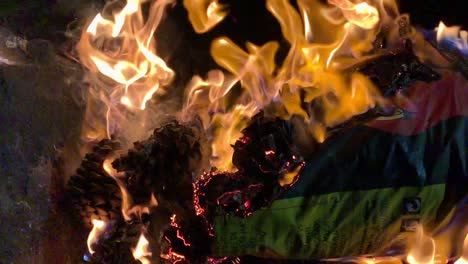 slow-motion-campfire-burning-coal-and-pine-cones