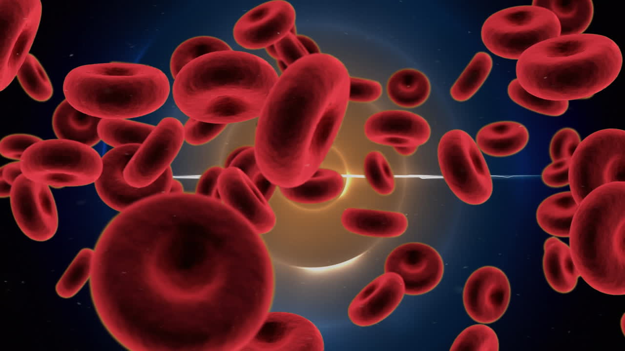 animación de las células sanguíneas sobre círculos anaranjados y azules