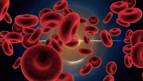 animation of blood cells over orange and blue circles