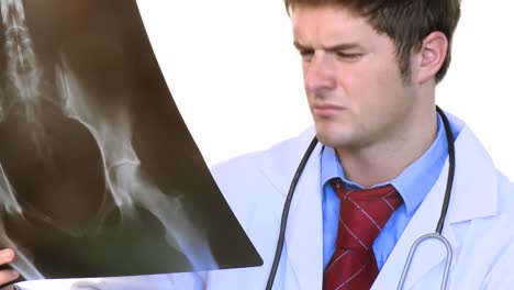 médico atractivo estudiando un metraje de rayos x