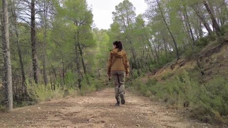 hiker girl strolling peacefully along a forest road surrounded by pines and rosemary, on a rocky path