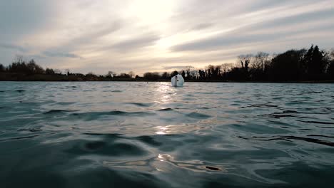 Toma-En-ángulo-Bajo-Sobre-El-Agua,-Mientras-Un-Cisne-Blanco-Nada-Junto-A-La-Cámara-Durante-La-Puesta-De-Sol