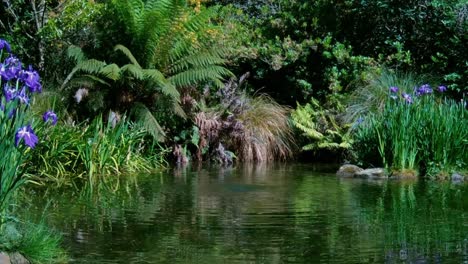 el agua burbujeante crea anillos concéntricos y refleja colores verde oscuro en un hermoso jardín acuático - christchurch