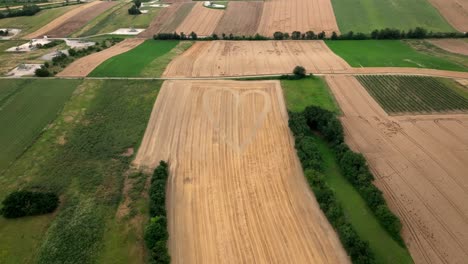 Heart-In-A-Grain-Field-At-Daytime---Aerial-Drone-Shot