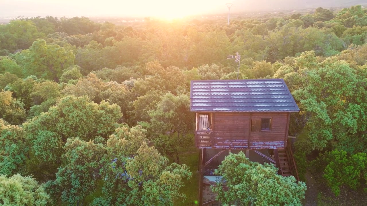 Vista aerea di una casa sull'albero in una lussureggiante foresta verde al tramonto, un'evasione pacifica nella natura e un concetto di stile di vita eco-sostenibile
