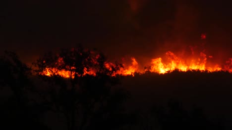 ojai california 2 위의 언덕에서 밤에 토마스 화재 화상