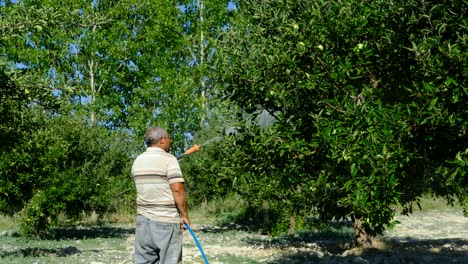 Anciano-Rocía-Medicina-Jardín