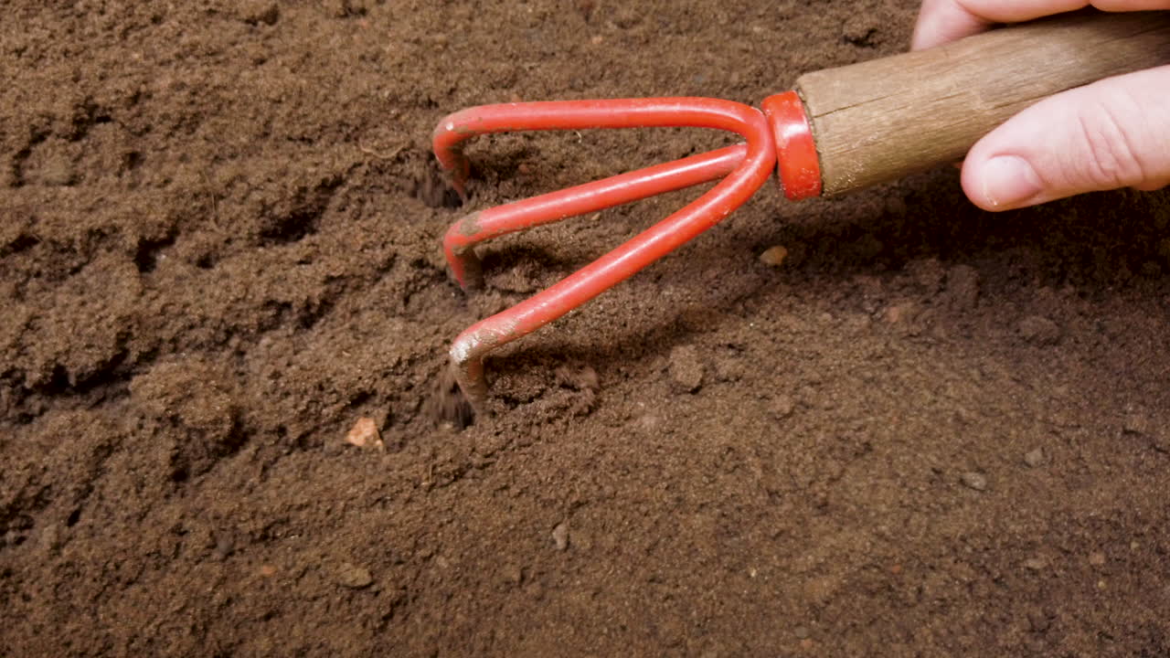 Rastrellare il terreno e il giardino rustico per poter piantare