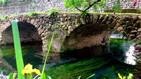 puente de piedra medieval en el edén jardín colorido vibrante con rosas y río
