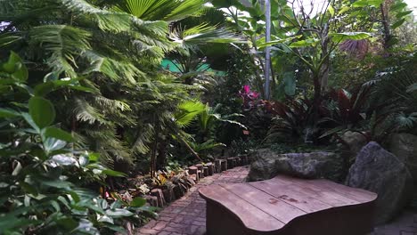 a scene inside of a botanical garden in south korea (shoot info: cin2, 1080p, 23.97fps slowmotion from 59.94fps)