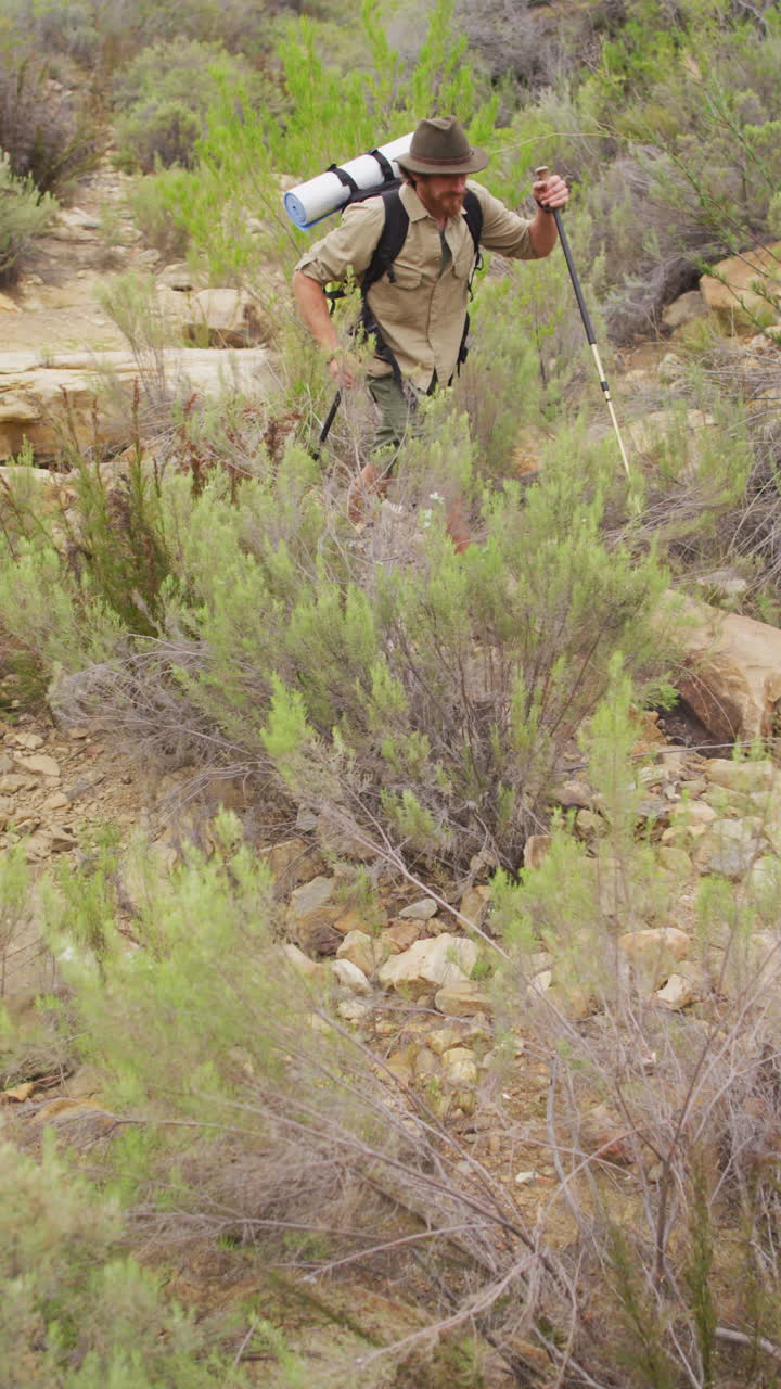video vertical de un sobreviviente caucásico barbudo con palos para caminar explorando en el desierto