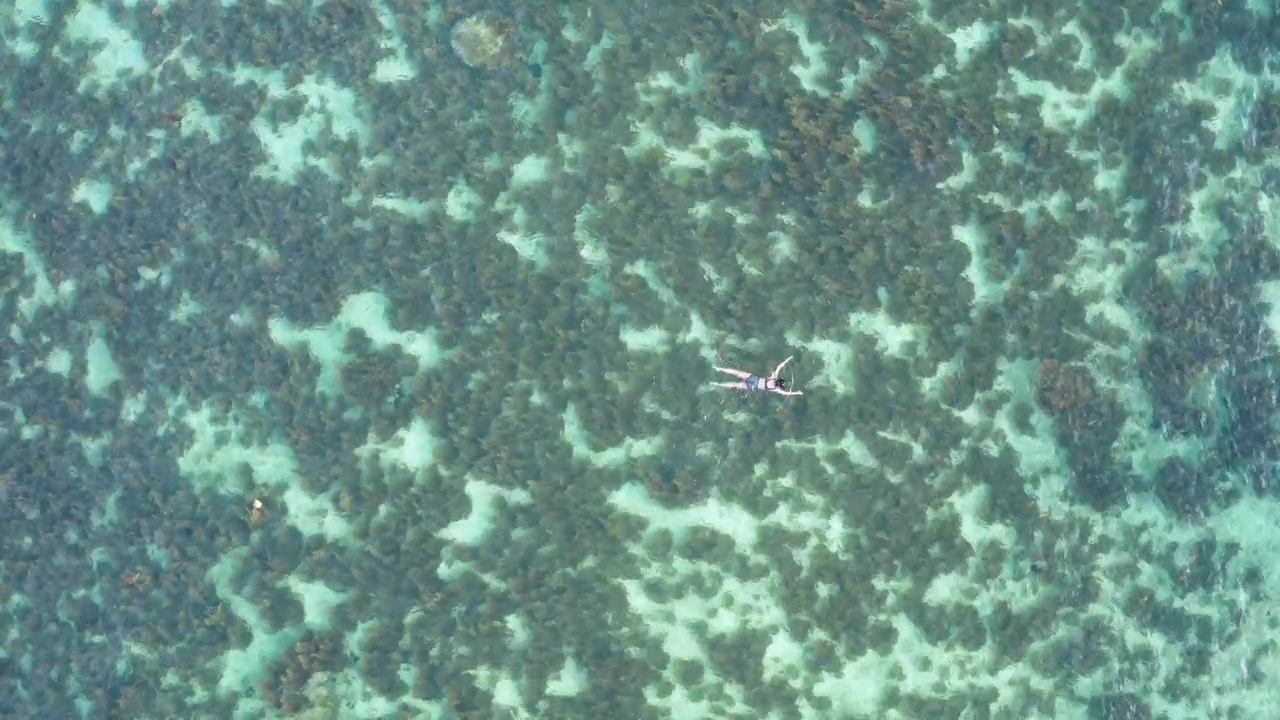 Close aerial top-down drone shot looking straight down at a solo snorkeler floating over a detailed coral reef in the Seychelles, with coral and sea grass highly visible through crystal-clear water.