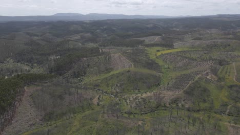 aerial view of proença a nova landscape