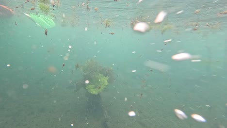 underwater scuba diving/snorkeling scene with bubbles and debris