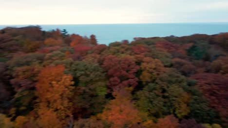 Una-Rotación-Alrededor-De-Varias-Hojas-Y-árboles-De-Otoño