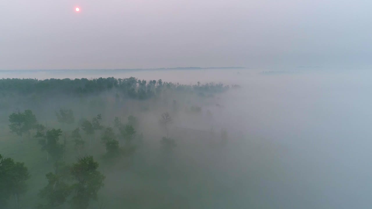 앨버타 시골 지역의 안개와 연기를 뚫고 연기가 가득한 지평선에 떠오르는 붉은 태양을 향해 날아가는 공중 전망