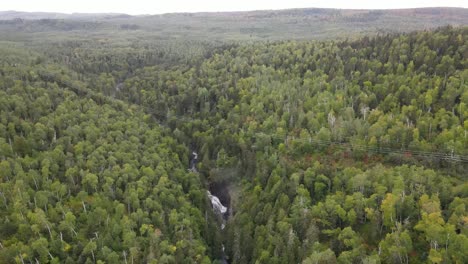 aerial view of threes, forest in northern minnesota, superior national forest