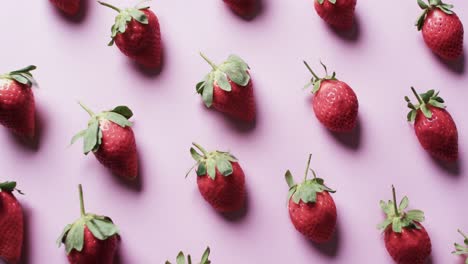 Video-of-rows-of-strawberries-with-copy-space-over-pink-background