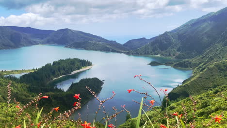 flowers in front of lagoa do fogo crater lake in beautiful azores