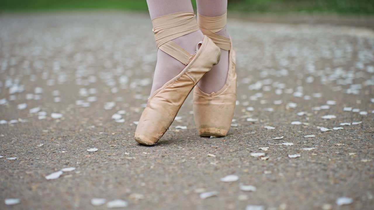 Ballerina in Pointe Shoes on a Path with Flowers