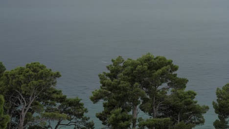 Panning-shot-of-the-Adriatic-sea-with-Green-Aleppo-Pine-trees-in-the-foreground-during-rain