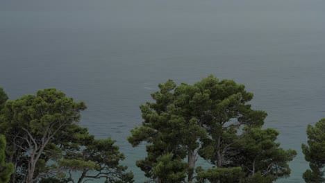 toma panorámica del mar adriático con pinos carrascos verdes en primer plano durante la lluvia