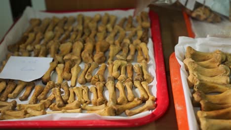 Slide-Shot-of-Scientific-Research-Laboratory-Trays-full-of-Bones