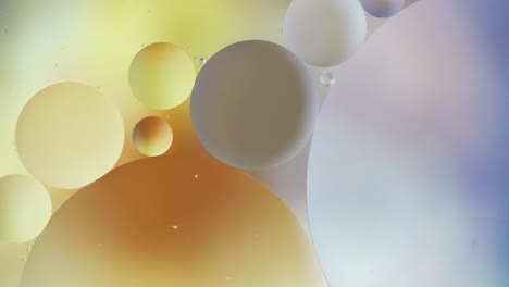 fantastic structure of colorful bubbles. chaotic motion. abstract colorful paint. top view. movement of bubbles in the liquid. oil surface multicolored background. macro