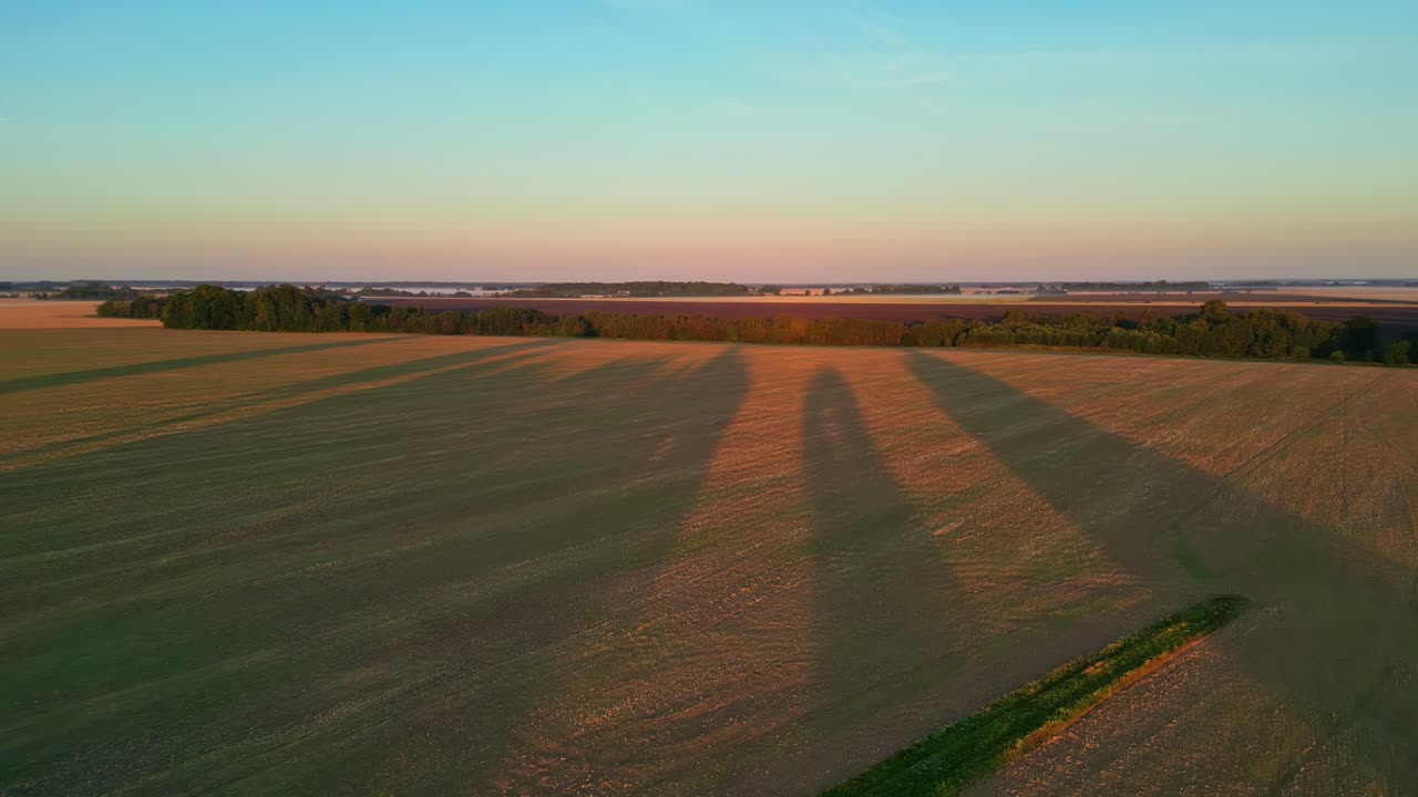 A panoramic shot of trees casting long shadows across a vast field