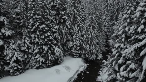 Idaho,-EE.UU.,-Un-Paisaje-Invernal-Que-Muestra-árboles-Cubiertos-De-Nieve-Con-Un-Pequeño-Río-Que-Serpentea-Debajo