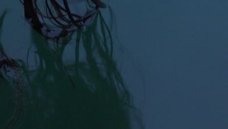 cabello flotando en el agua