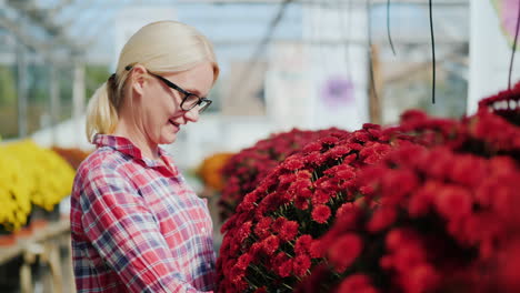 la mujer admira el ramo rojo de flores